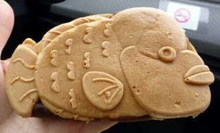 コブダイ.jpg